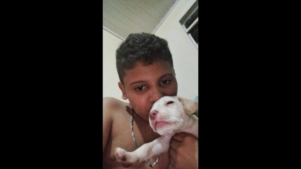 Cachorro Lucas desapareceu no bairro Morumbi Imagem referente a Cachorro Lucas desapareceu no bairro Morumbi
