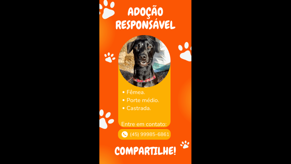 Cachorra é encontrada no bairro Parque São Paulo Imagem referente a Cachorra é encontrada no bairro Parque São Paulo