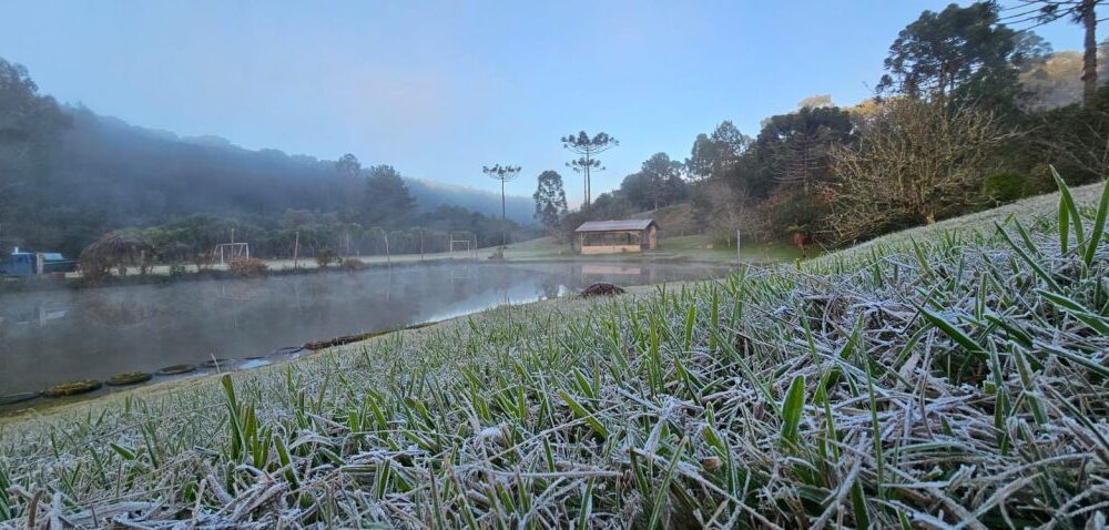 Geada e temperaturas negativas marcam manhã gelada no Paraná; chuva chega nesta sexta-feira Imagem referente a Geada e temperaturas negativas marcam manhã gelada no Paraná; chuva chega nesta sexta-feira
