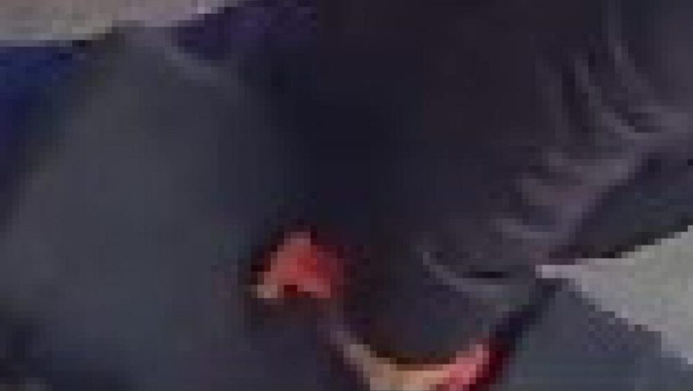 Foi perdido bolsa no bairro Neva Imagem referente a Foi perdido bolsa no bairro Neva