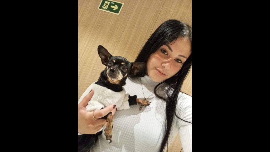 Cachorra Bella desapareceu no bairro Esmeralda Imagem referente a Cachorra Bella desapareceu no bairro Esmeralda