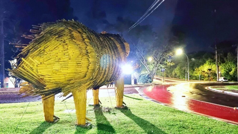 Guarda-chuvas, agasalhos e capivaras compõem cenário da madrugada em Cascavel Imagem referente a Guarda-chuvas, agasalhos e capivaras compõem cenário da madrugada em Cascavel