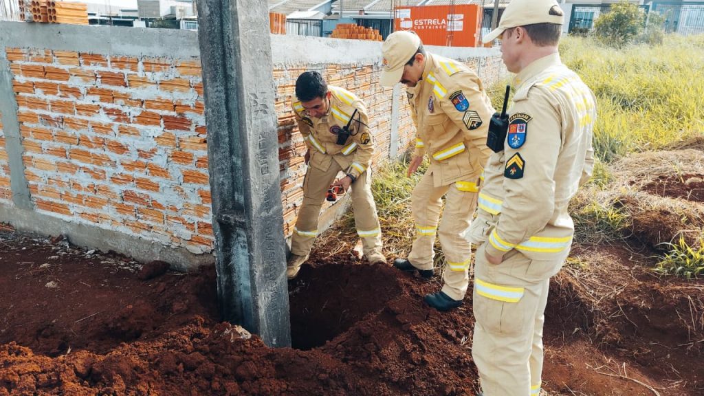 Cachorro cai em buraco na Rua Armando Zanata Imagem referente a Cachorro cai em buraco na Rua Armando Zanata