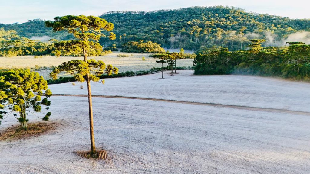 “Nevou” no Paraná? Cenário branco chama atenção e imagens impressionam Imagem referente a “Nevou” no Paraná? Cenário branco chama atenção e imagens impressionam
