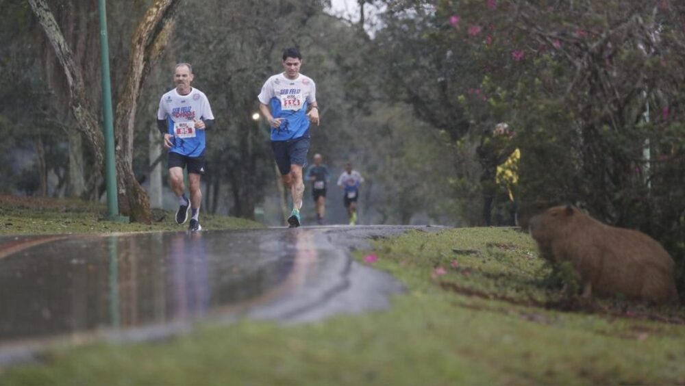 Inscrições para corrida “Ser Feliz Sem Drogas” serão abertas no fim de maio em Cascavel Imagem referente a Inscrições para corrida “Ser Feliz Sem Drogas” serão abertas no fim de maio em Cascavel