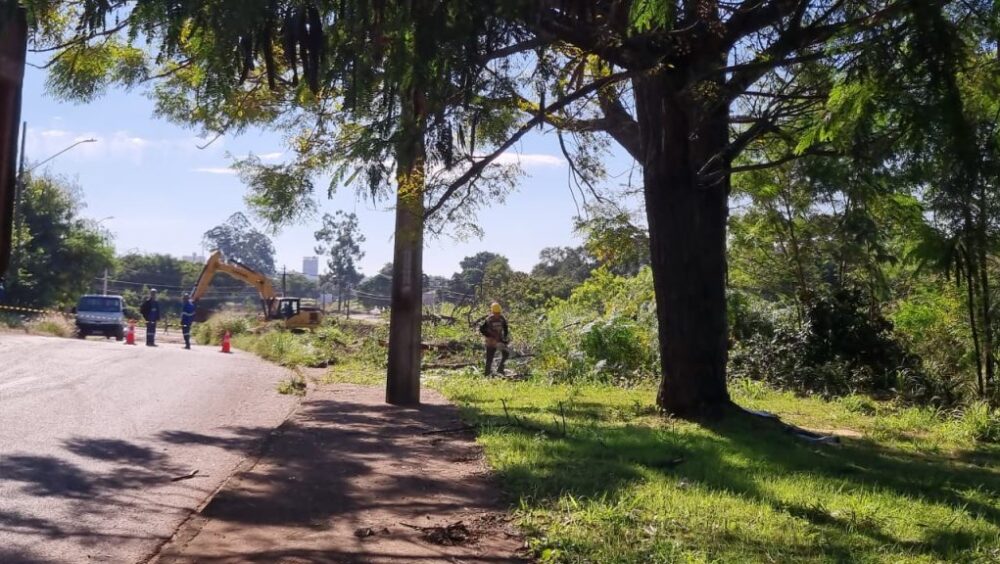 “Estão destruindo tudo aqui”: moradores reclamam do corte de árvores para construção de ciclovia no Santa Cruz Imagem referente a “Estão destruindo tudo aqui”: moradores reclamam do corte de árvores para construção de ciclovia no Santa Cruz