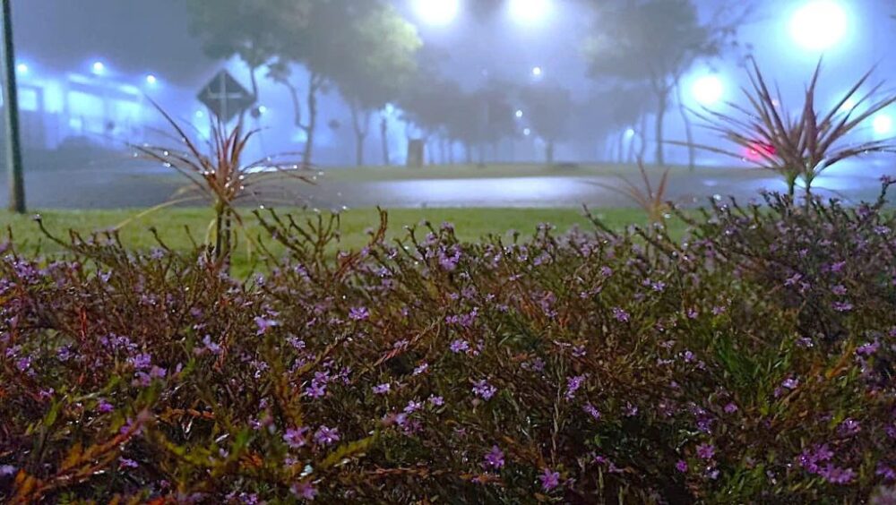 Sábado amanhece com tempo fechado e forte neblina em Cascavel Imagem referente a Sábado amanhece com tempo fechado e forte neblina em Cascavel