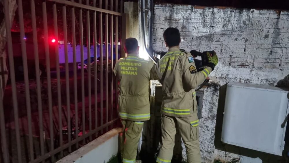Drama no Cancelli: filhote fica preso em caixa de energia e mobiliza bombeiros em resgate delicado Imagem referente a Drama no Cancelli: filhote fica preso em caixa de energia e mobiliza bombeiros em resgate delicado