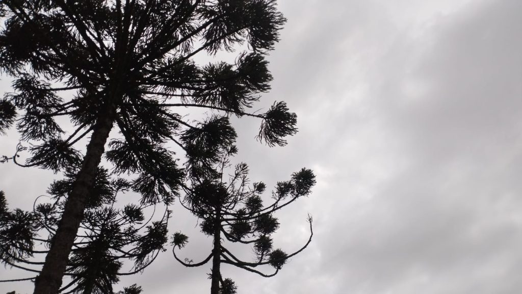 “Dia de São Pega” sem chuva, mas com friozinho e céu fechado em Cascavel Imagem referente a “Dia de São Pega” sem chuva, mas com friozinho e céu fechado em Cascavel
