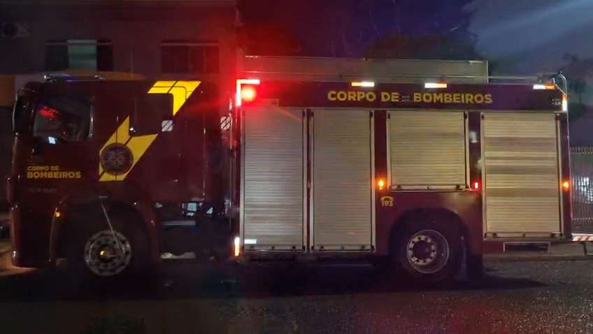 Cadê o gambá? Bombeiros são acionados, mas não encontram gambá mencionado por moradores Imagem referente a Cadê o gambá? Bombeiros são acionados, mas não encontram gambá mencionado por moradores