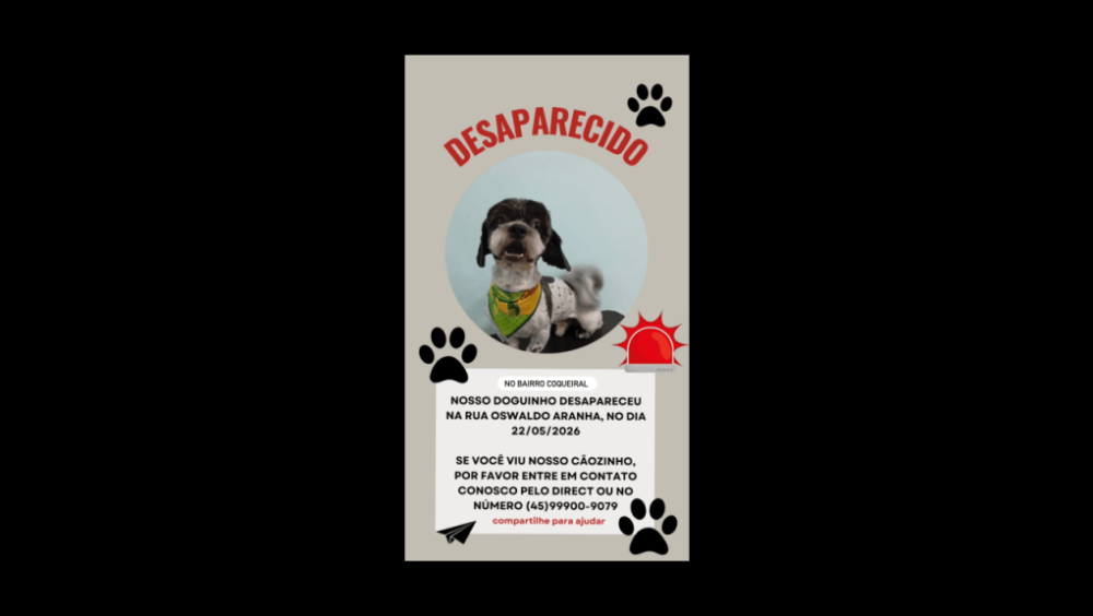 Cachorro FREDERICO (Fred) desapareceu no bairro Alto Alegre Imagem referente a Cachorro FREDERICO (Fred) desapareceu no bairro Alto Alegre