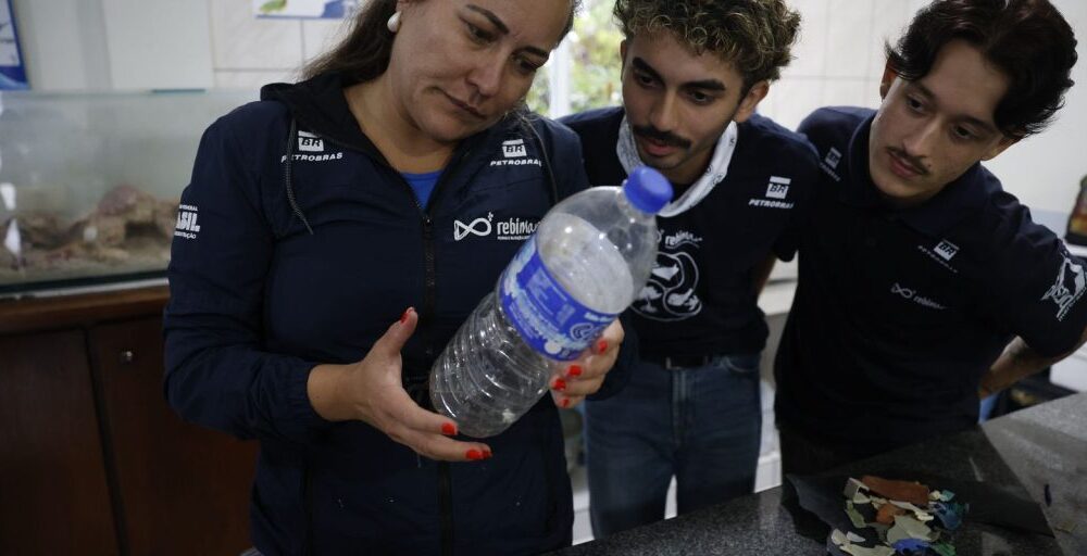 Mais de 93% dos peixes vendidos no litoral do Paraná têm microplástico Imagem referente a Mais de 93% dos peixes vendidos no litoral do Paraná têm microplástico