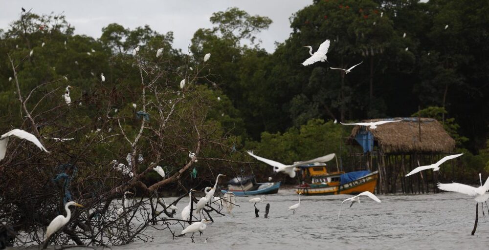 Amazônia Soberana: programa vai combater crimes em áreas de fronteira Imagem referente a Amazônia Soberana: programa vai combater crimes em áreas de fronteira
