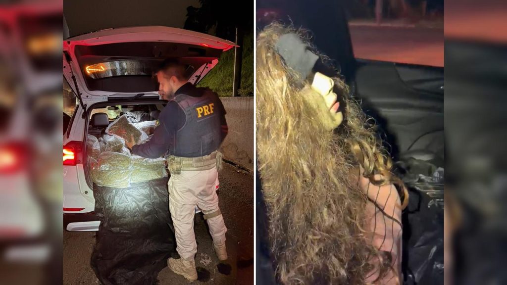 PRF apreende mais de 250 kg de skunk após perseguição na BR-277; motorista usava manequim para enganar polícia Imagem referente a PRF apreende mais de 250 kg de skunk após perseguição na BR-277; motorista usava manequim para enganar polícia